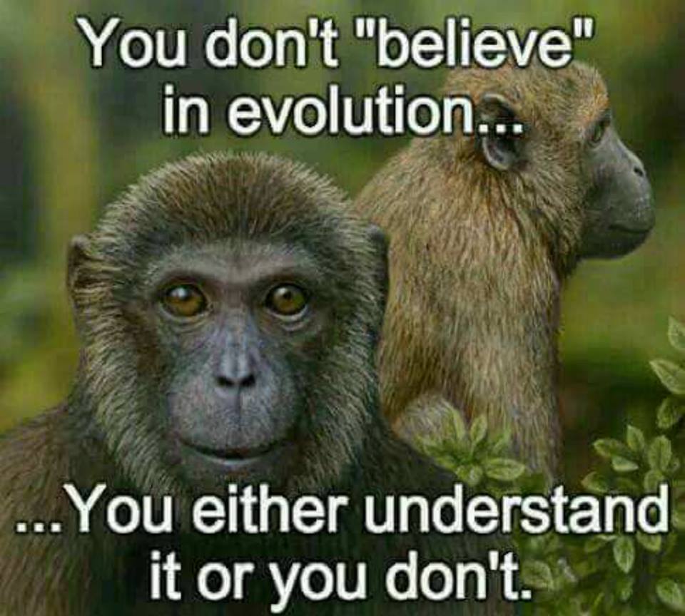 Evolution-001